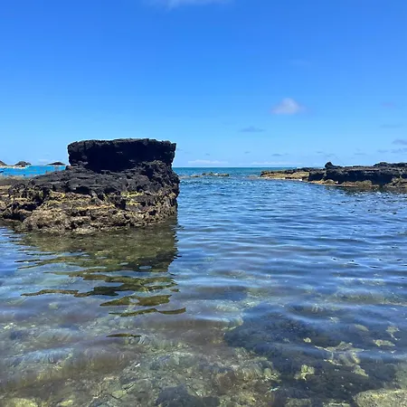 Hébergement de vacances Casa Dos Anjos Vila do Porto